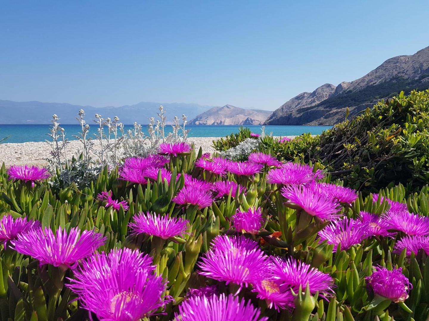 Apartments Barbalic D Baška Zewnętrze zdjęcie